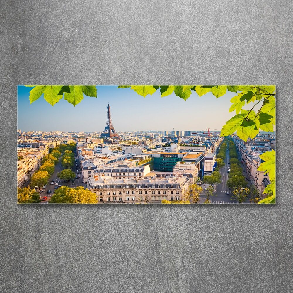 Wall art acrylic Paris