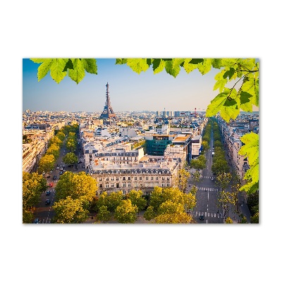 Wall art acrylic Paris