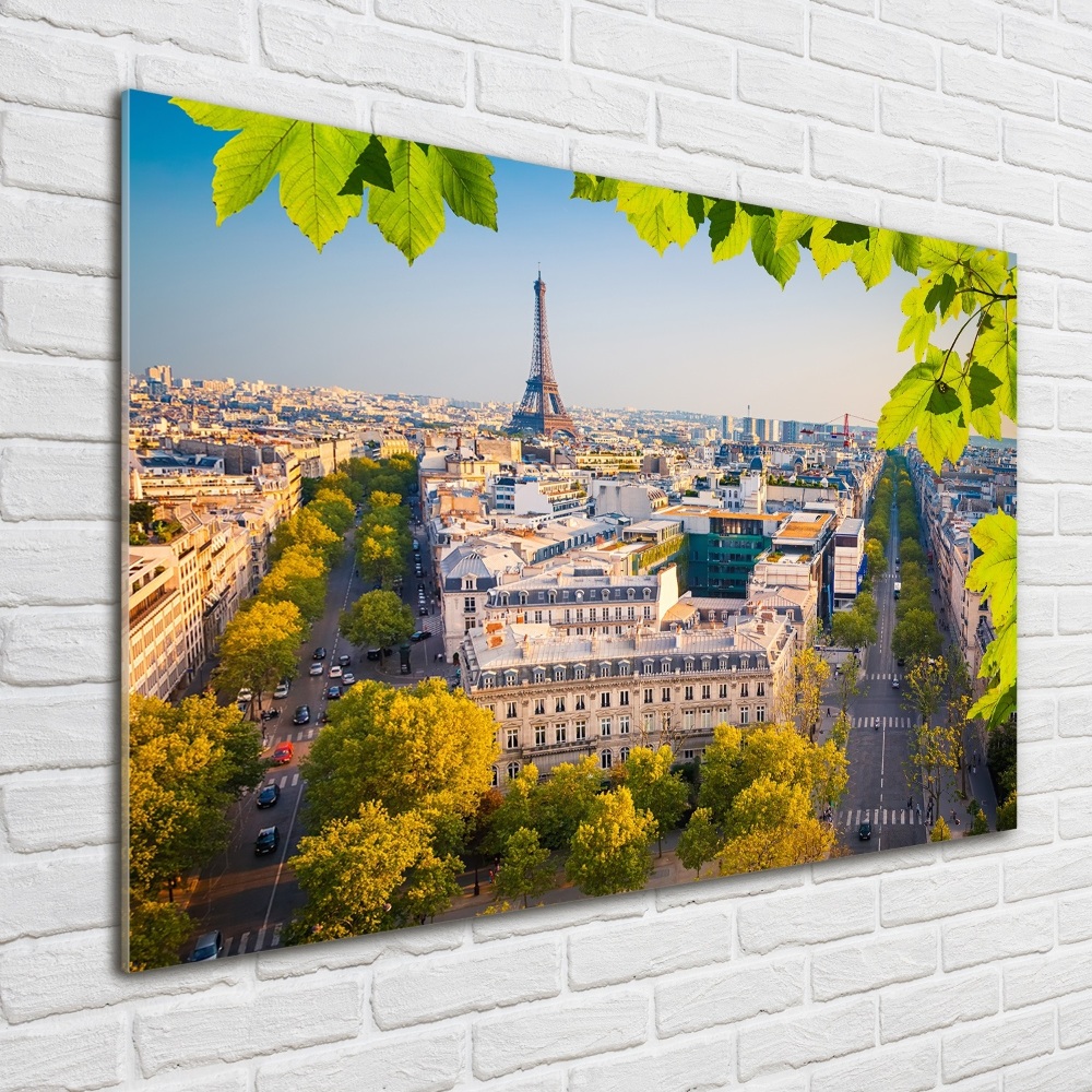 Wall art acrylic Paris