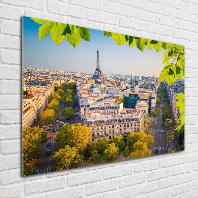 Wall art acrylic Paris