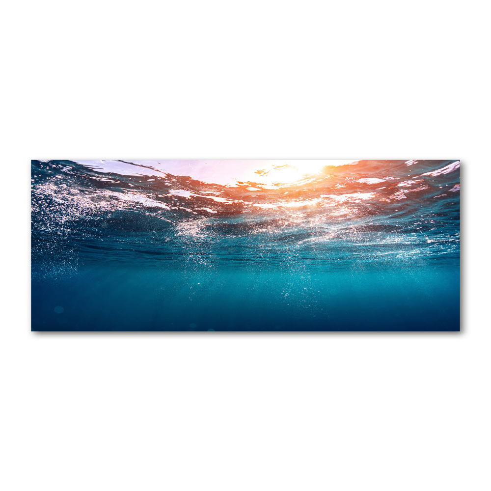 Wall art acrylic Underwater world