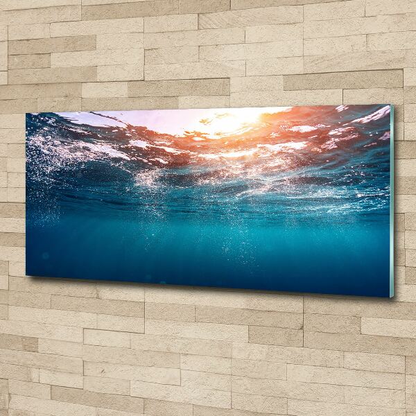 Wall art acrylic Underwater world