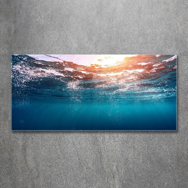 Wall art acrylic Underwater world