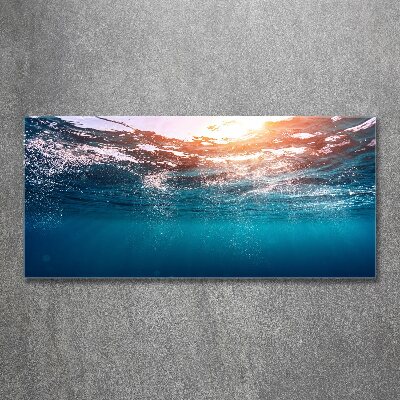 Wall art acrylic Underwater world