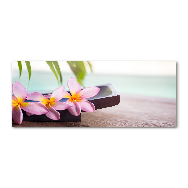 Acrylic print Plumeria