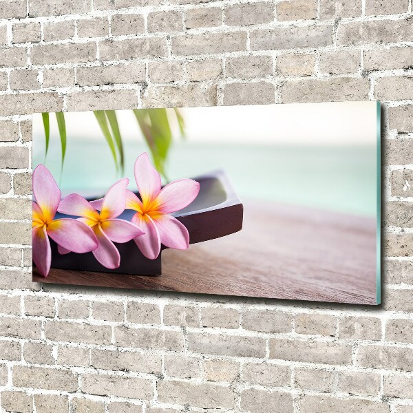 Acrylic print Plumeria