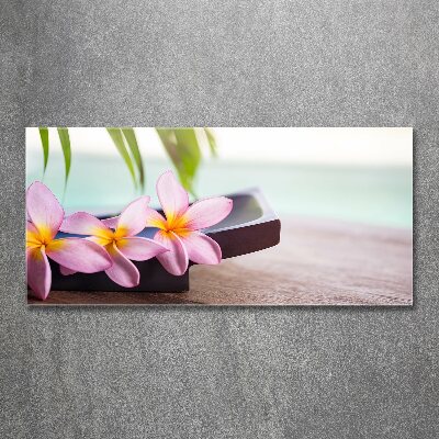 Acrylic print Plumeria