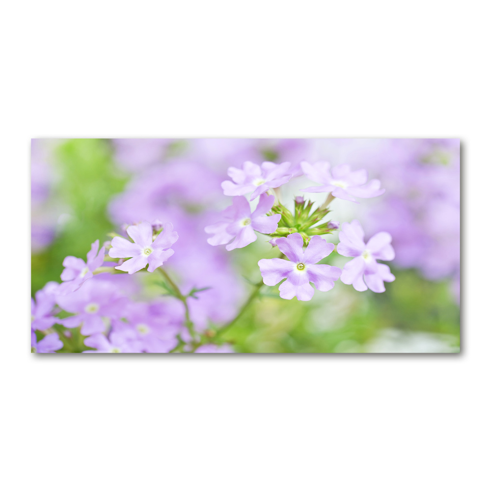 Wall art acrylic Verbena