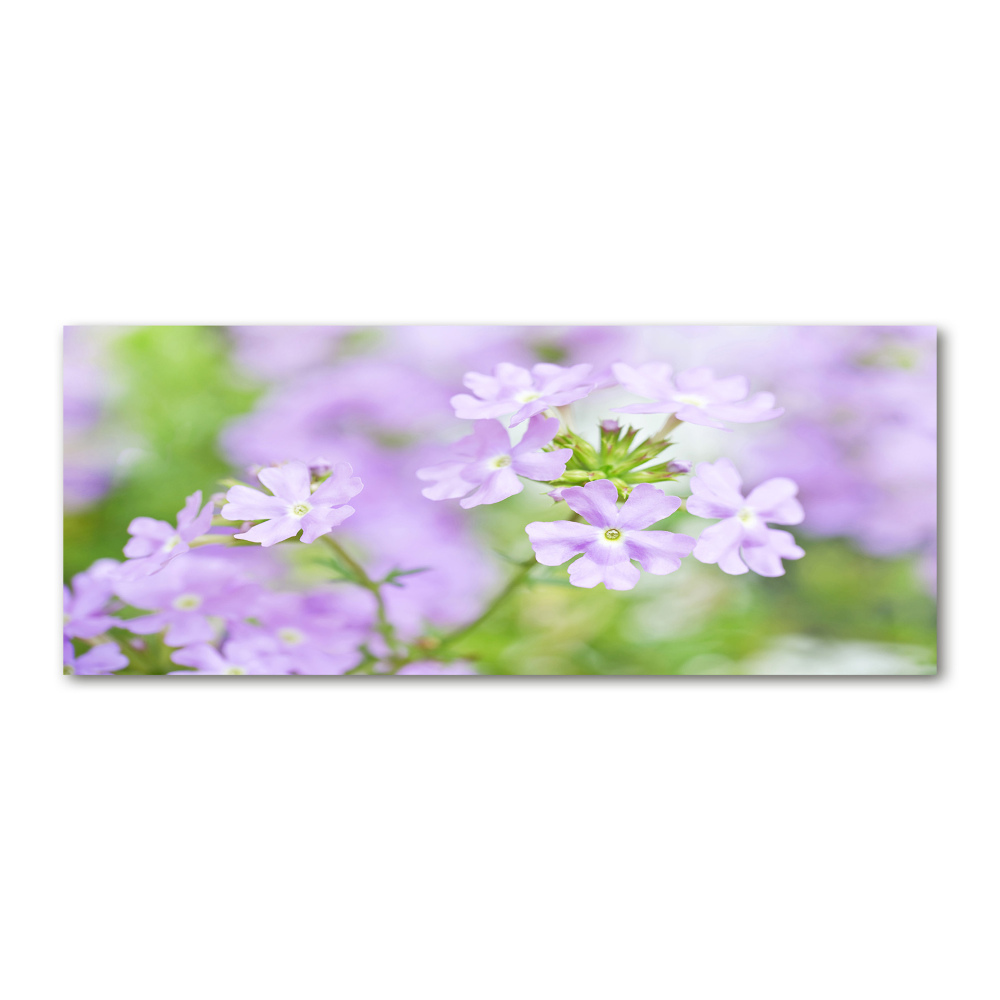 Wall art acrylic Verbena