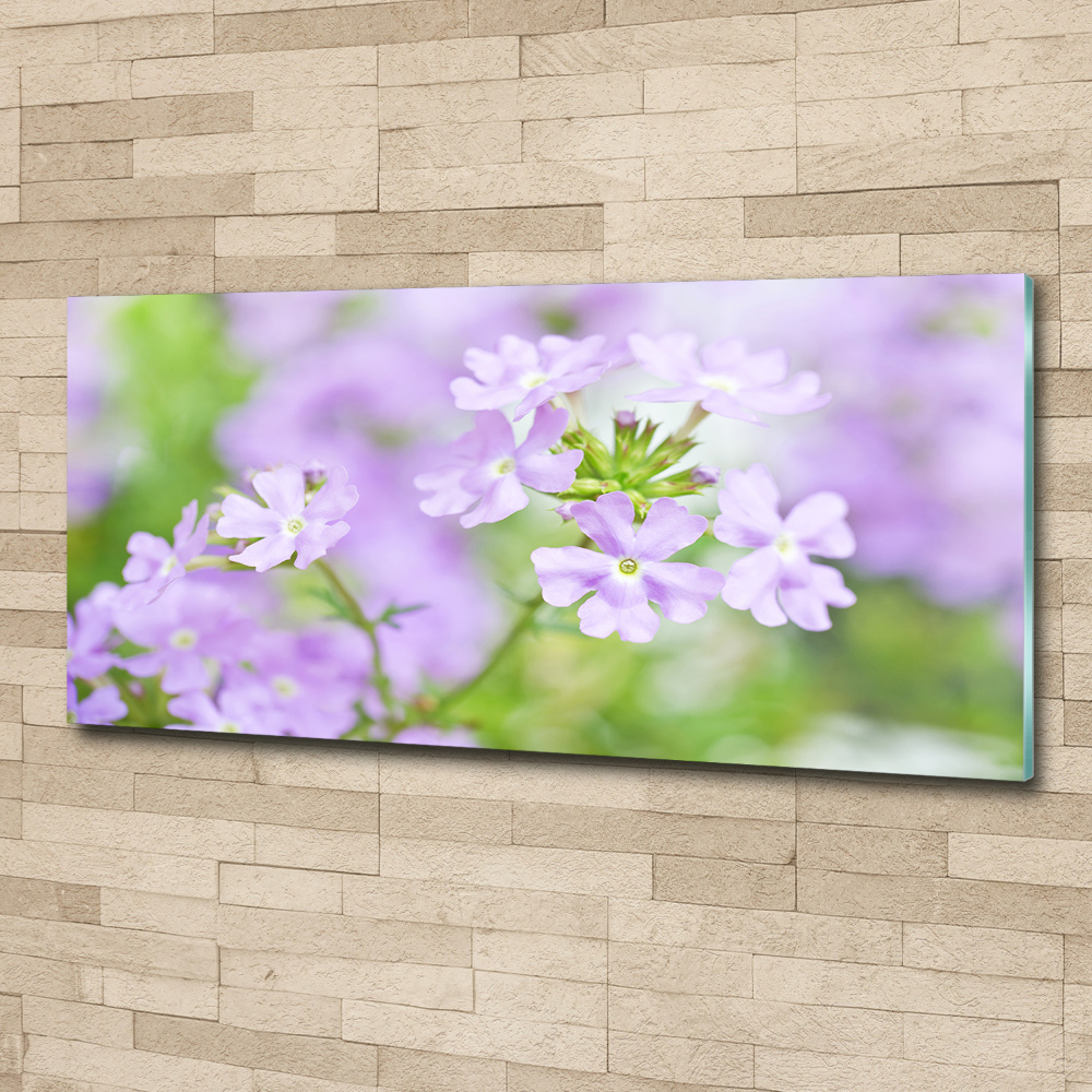 Wall art acrylic Verbena