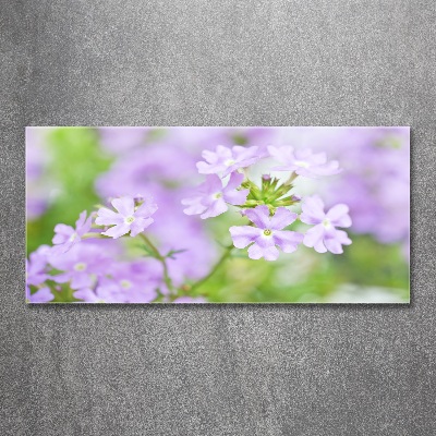 Wall art acrylic Verbena