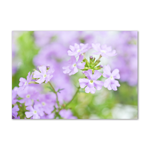 Wall art acrylic Verbena