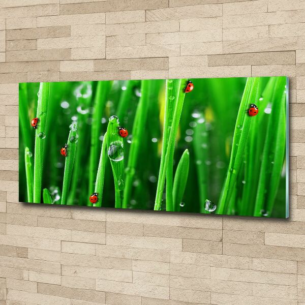 Wall art acrylic Ladybugs on the grass