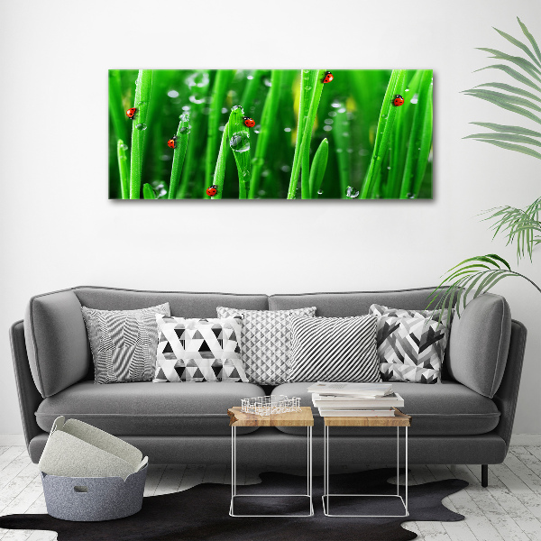 Wall art acrylic Ladybugs on the grass