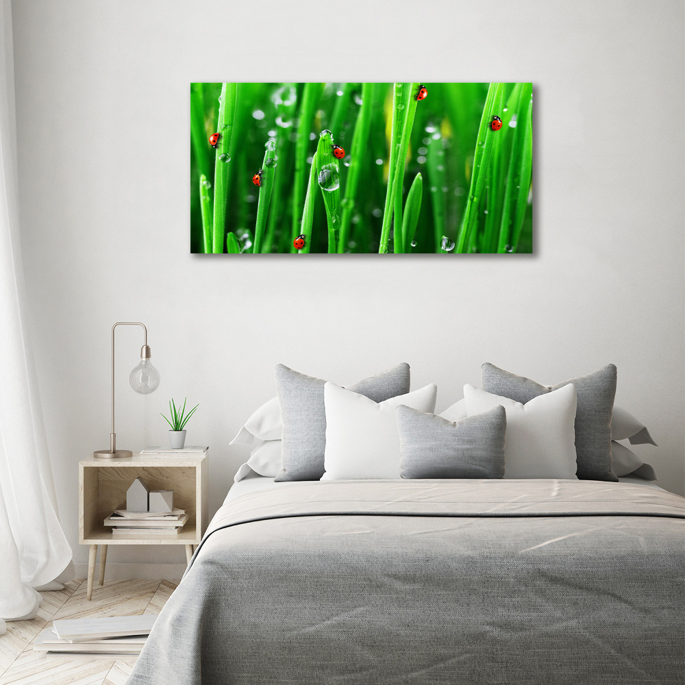 Wall art acrylic Ladybugs on the grass