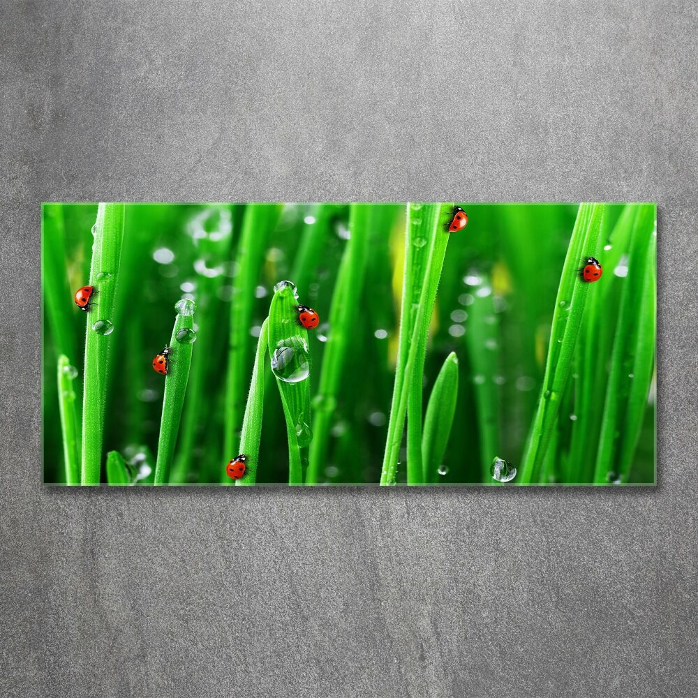 Wall art acrylic Ladybugs on the grass