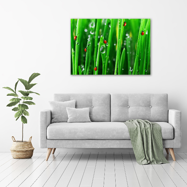 Wall art acrylic Ladybugs on the grass