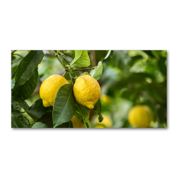 Glass acrylic wall art Lemons on a tree