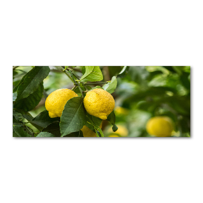 Glass acrylic wall art Lemons on a tree