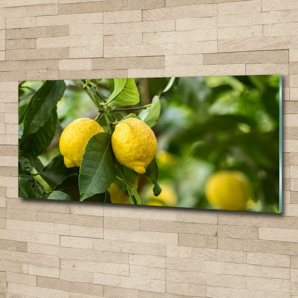 Glass acrylic wall art Lemons on a tree