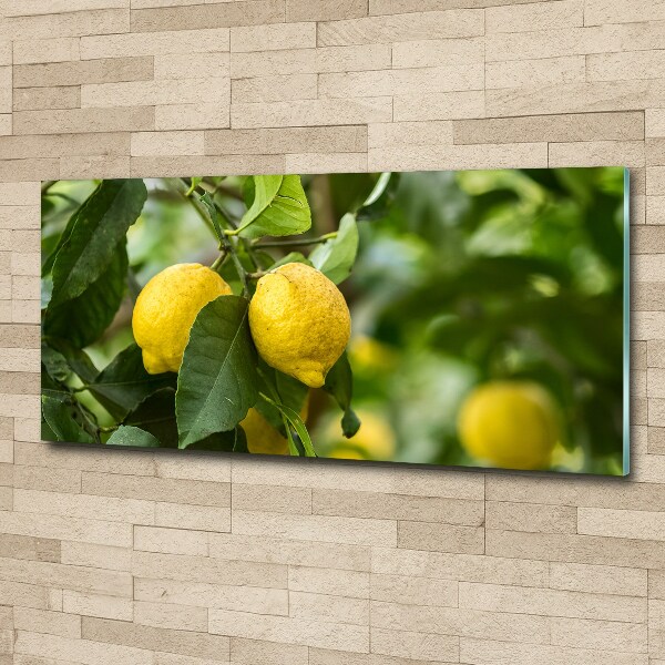 Glass acrylic wall art Lemons on a tree