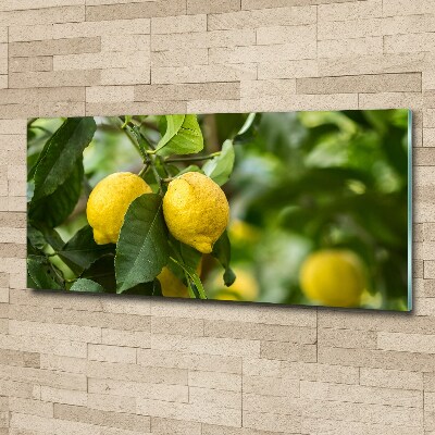 Glass acrylic wall art Lemons on a tree