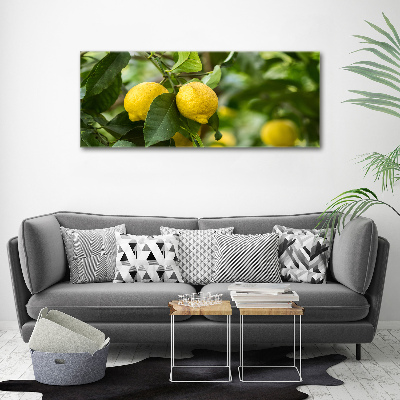 Glass acrylic wall art Lemons on a tree