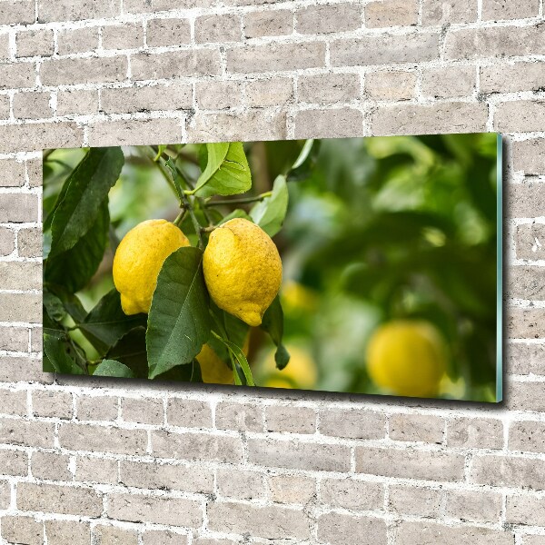 Glass acrylic wall art Lemons on a tree