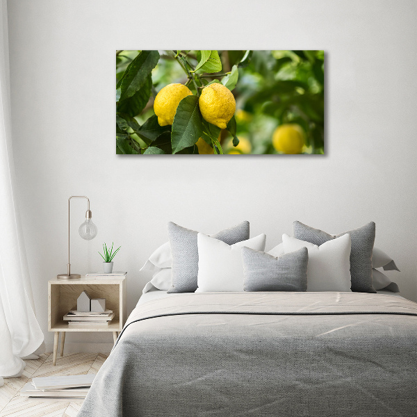 Glass acrylic wall art Lemons on a tree