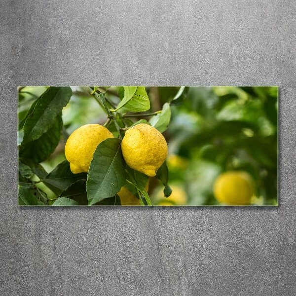 Glass acrylic wall art Lemons on a tree