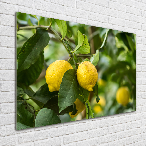 Glass acrylic wall art Lemons on a tree