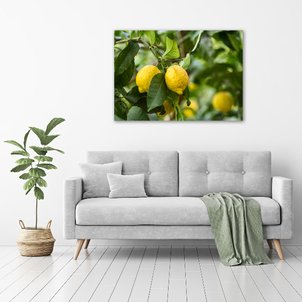 Glass acrylic wall art Lemons on a tree