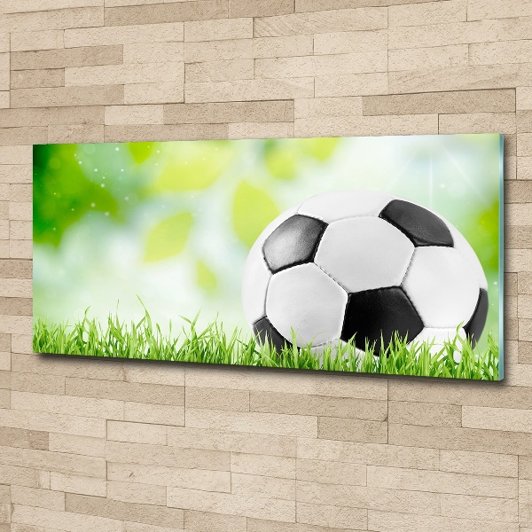 Wall art acrylic Football