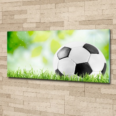 Wall art acrylic Football