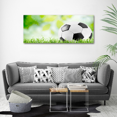 Wall art acrylic Football