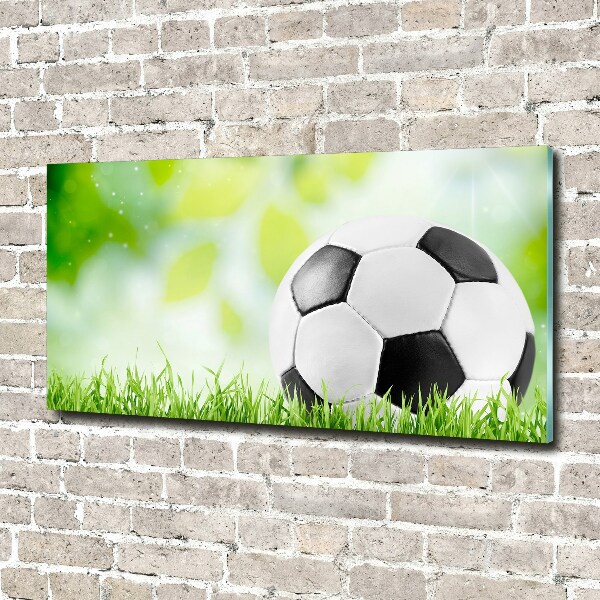 Wall art acrylic Football