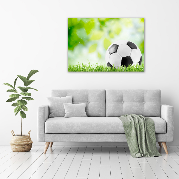 Wall art acrylic Football