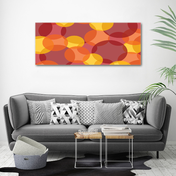 Acrylic wall art Colorful wheels