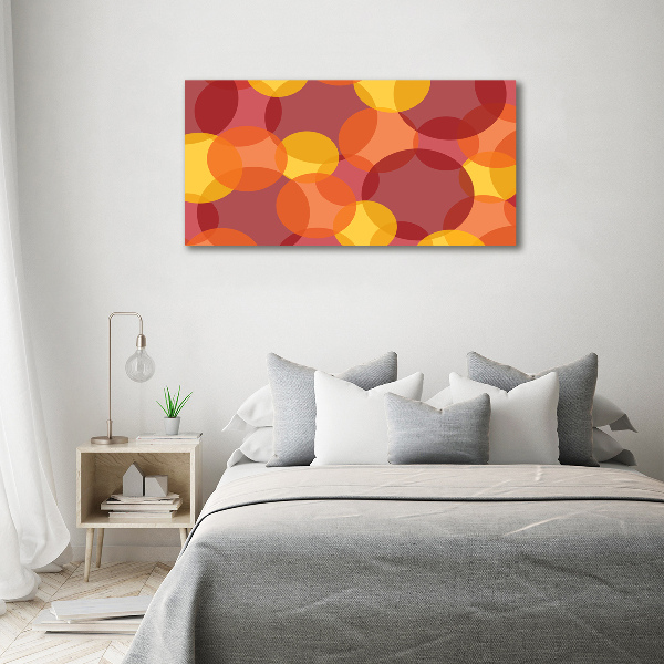 Acrylic wall art Colorful wheels