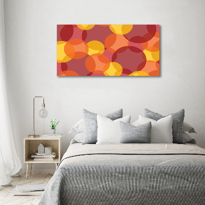 Acrylic wall art Colorful wheels