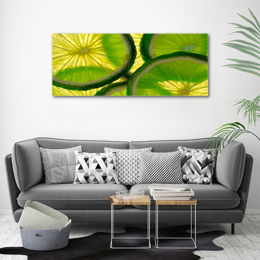 Acrylic wall picture Lime