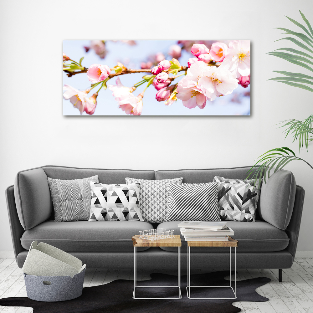 Print on acrylic Cherry blossoms