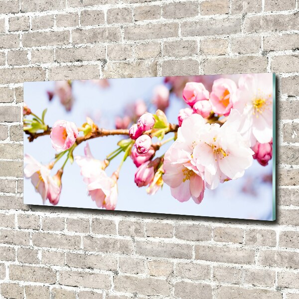 Print on acrylic Cherry blossoms