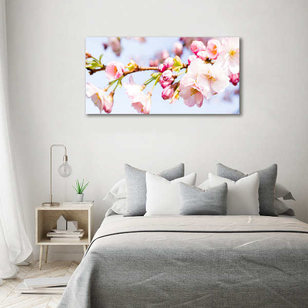 Print on acrylic Cherry blossoms