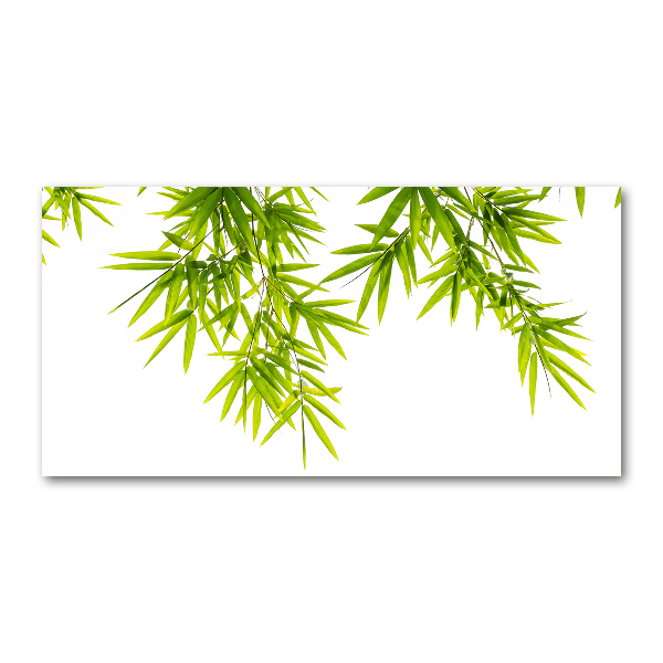 Print on acrylic Bamboo leaves