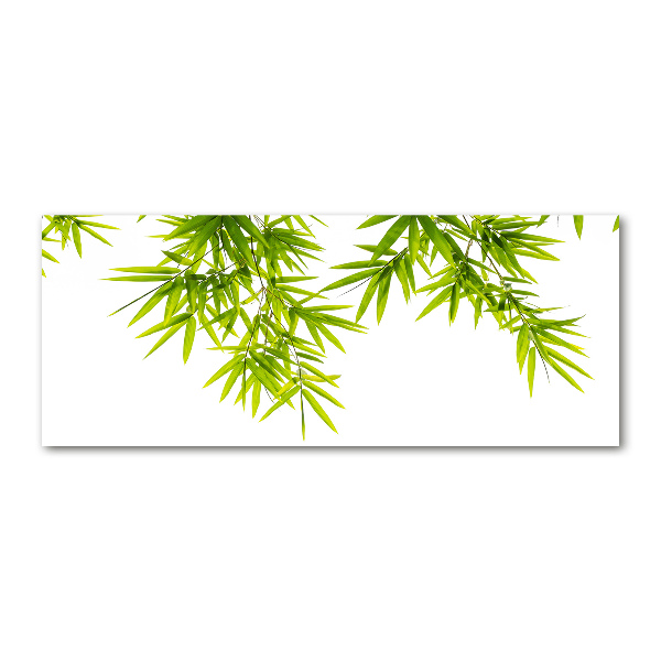 Print on acrylic Bamboo leaves