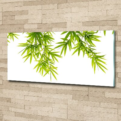 Print on acrylic Bamboo leaves