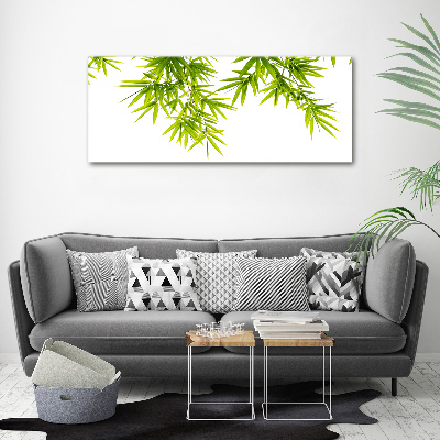 Print on acrylic Bamboo leaves