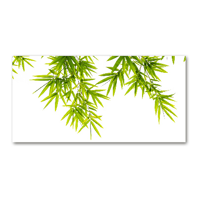 Print on acrylic Bamboo leaves