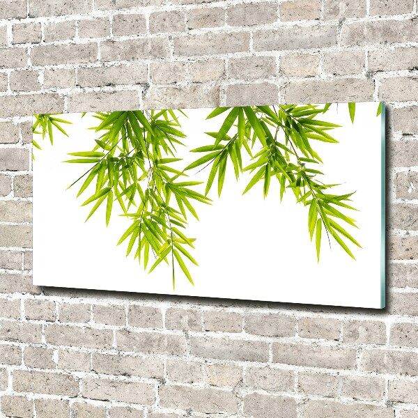 Print on acrylic Bamboo leaves